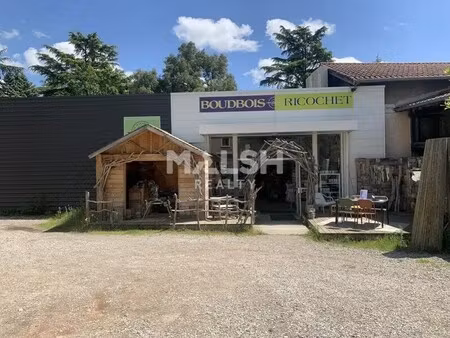 location commerce brignais 69530 367m²