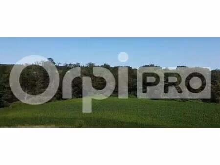 vente terrain 324 229 m²