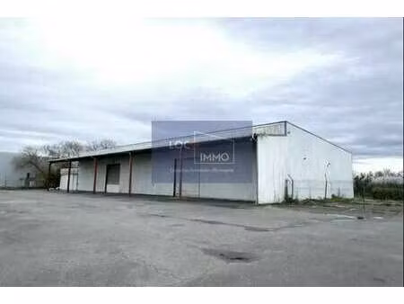 location local d’activités le haillan 33185 1170m²