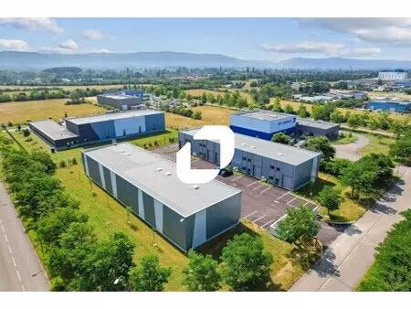 vente local d’activités saint vulbas 01150 182m² à 1093m²