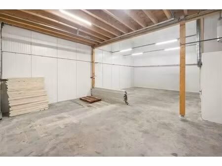 vente local d’activités sainte consorce 69280 115m²