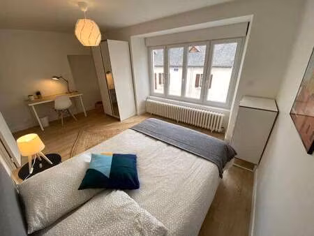 location appartement t1 colocation à angers saint-serge (49000) : à louer t1 colocation / 