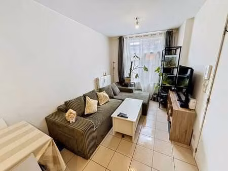 appartement en plein centre de namur