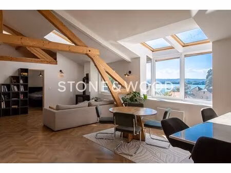 appartement de charme avec jardin et vue sur le lac d'annecy