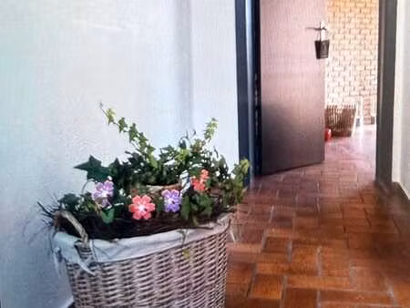 appartement 2 ch à louer à gerpinnes
