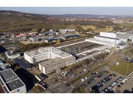 location local professionnel 954m² obernai 67210