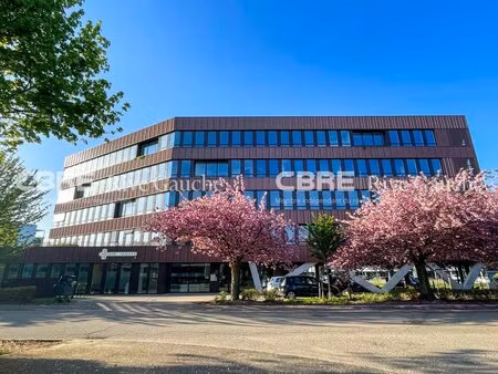 location local professionnel 744m² schiltigheim 67300
