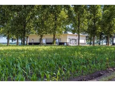 villa moderne exclusive dans un environnement rural - oedele