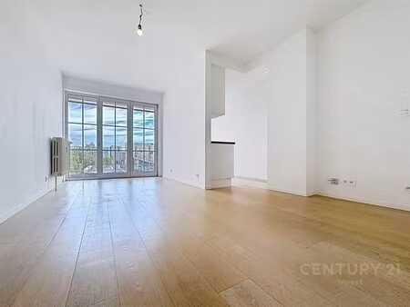 appartement 1 chambre + cave!