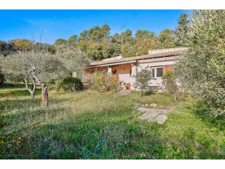 charmante maison de plain-pied au cœur d'un écrin de verdure  jardin planté d'oliviers - 3