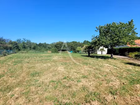 vente terrain 824 m² à saint-avaugourd-des-landes (85540)  71 500 €