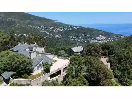 maison avec vue sur mer san-martino-di-lota - 7 chambres - 381m²