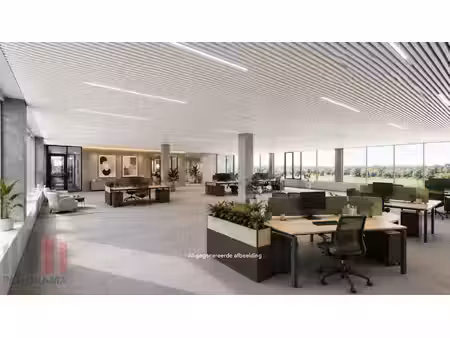 commercieel te huur in geel