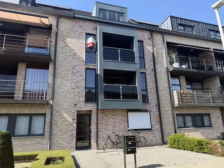 appartement te huur in schoten met 3 slaapkamers
