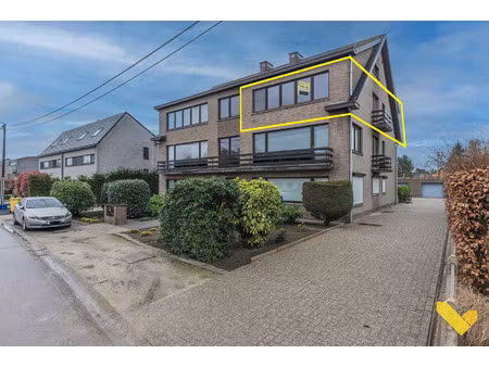 appartement te huur in westerlo met 2 slaapkamers