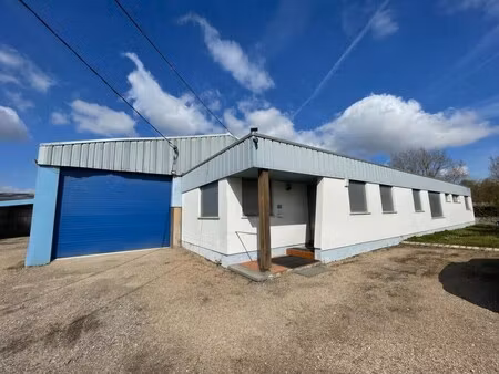 vente local d’activités ars sur moselle 57130 1570m²