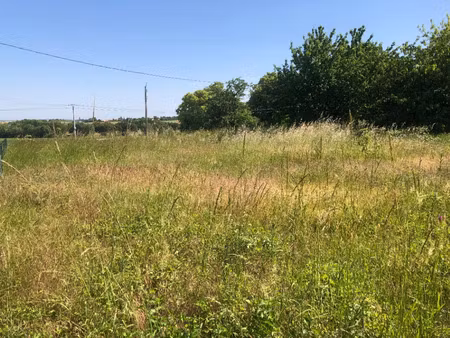 vente terrain 1000 m² bussac-sur-charente (17100)