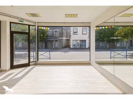 vente immeuble lanmeur (29620)