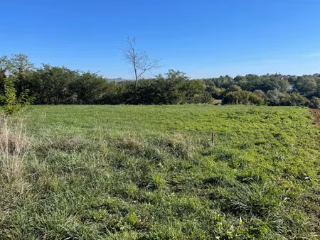 vente terrain 700 m² le tuzan (33125)