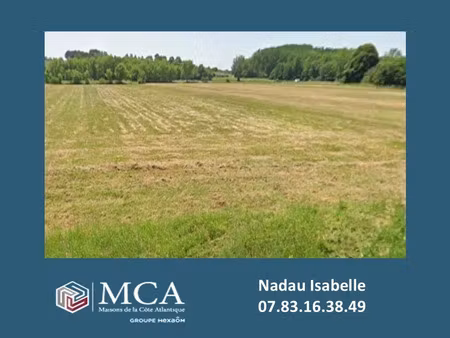 vente terrain 1090 m² pugnac (33710)