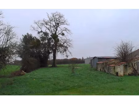 vente terrain 1000 m² beurlay (17250)