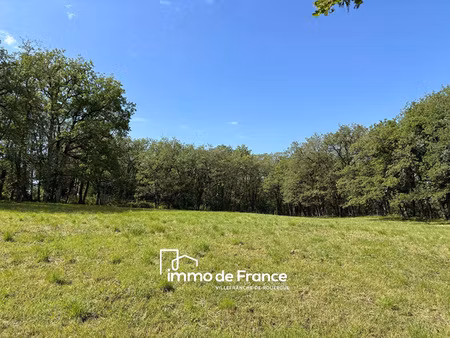 vente terrain parisot 82160 - - surface privée