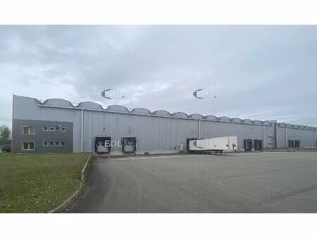 location entrepôt ottmarsheim 68490 10146m²