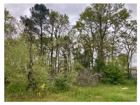 vente terrain 620 m² léognan (33850)