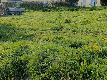 terrain à bâtir à saint-jean-d’elle (50810)