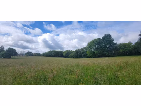achat terrain 2 864m² ste fortunade 19490