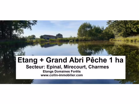 achat terrain 10 000m² epinal 88000