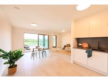 appartement te koop in antwerpen