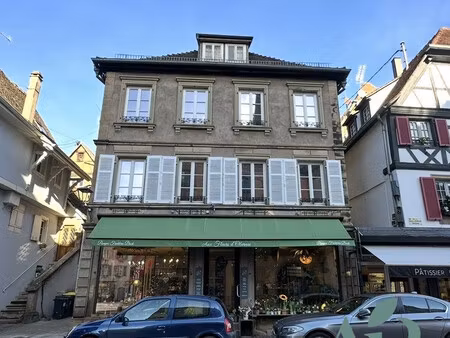 achat appartement 2 pièces 58m² obernai 67210