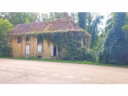 vente maison 0 pièces 178 m² à saint-martin-sur-ouanne (89120)  34 500 €