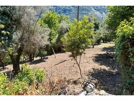 annonce terrain à vendre