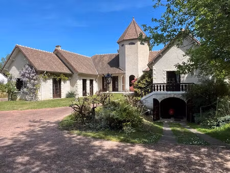 vente maison bourgeoise 11 pièces  300.00m²  cosne