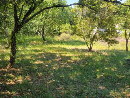 vente terrain 1500 m² la boissière (34150)