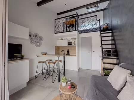 les tamaris - studio avec mezzanine et terrasse