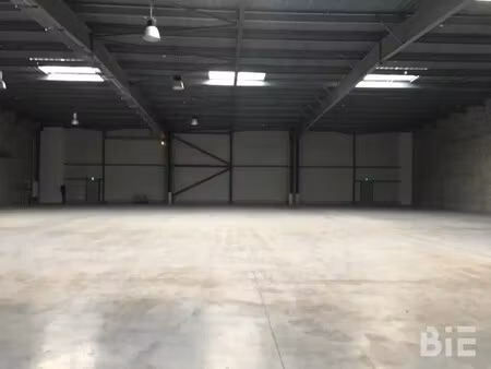 location entrepôt blanquefort 33290 1568m²