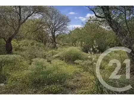 terrain à vendre - 2000 m2 - porto vecchio - 201 - corse