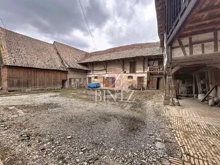 achat maison 8 pièces 241m² wingersheim les quatre bans 67170