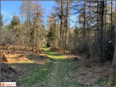 grand terrain de loisirs de 1 5 hectares   accès facile  proche village .