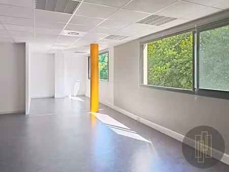 achat local professionnel 46m² legny 69620