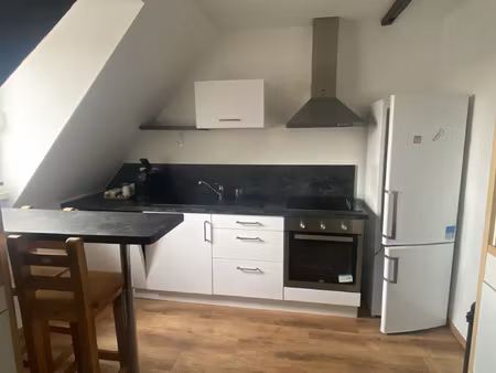 appartement meuble 3 pieces - schiltigheim