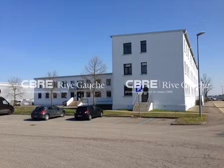 location local professionnel 533m² entzheim 67960