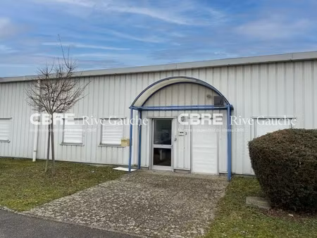location local professionnel 170m² geispolsheim 67118