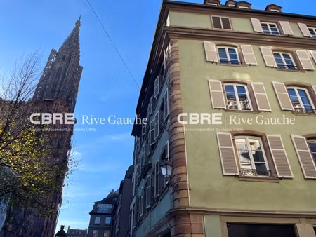 location local professionnel 84m² strasbourg 67000