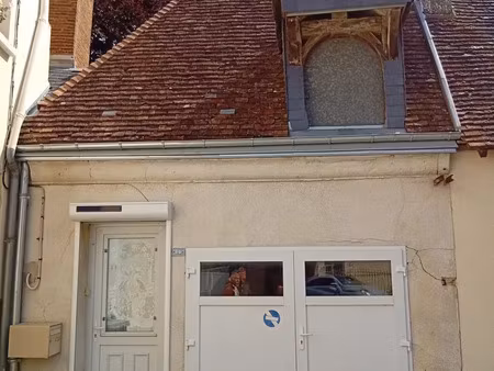 maison à montoire-sur-le-loir (41800)