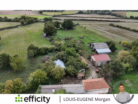 vente ferme 15 pièces 100 m² à mauprévoir (86460)  119 000 €