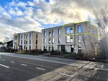 appartement te huur in lier met 3 slaapkamers